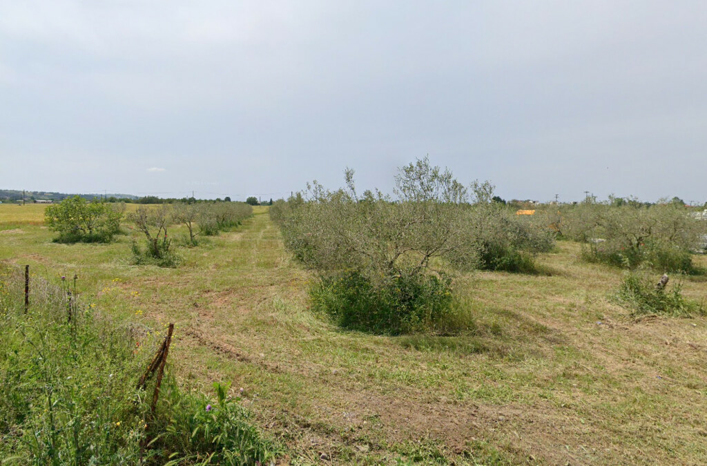Land In Thermi, Greece