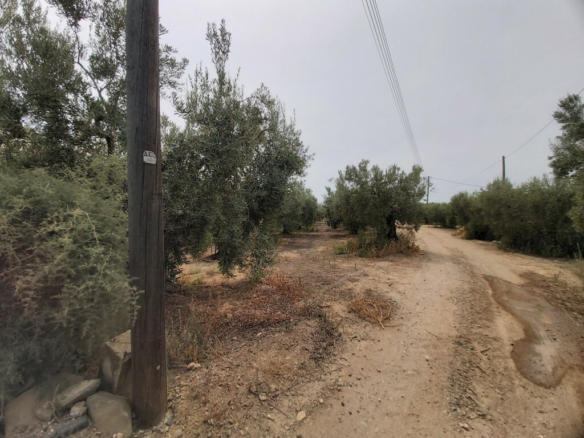 Land In Poligiros, Greece