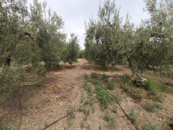 Land In Poligiros, Greece