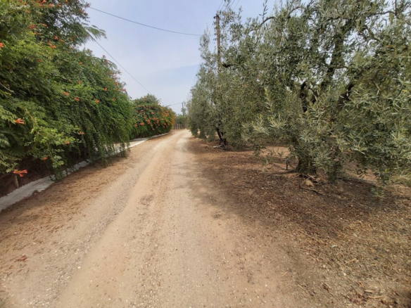 Land In Poligiros, Greece