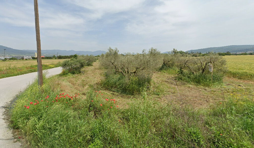 Land In Thermi, Greece