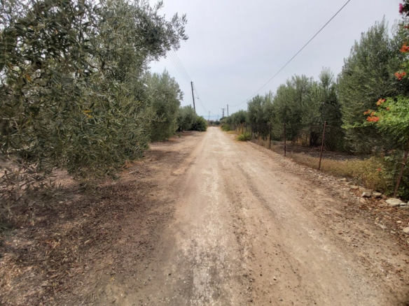 Land In Poligiros, Greece