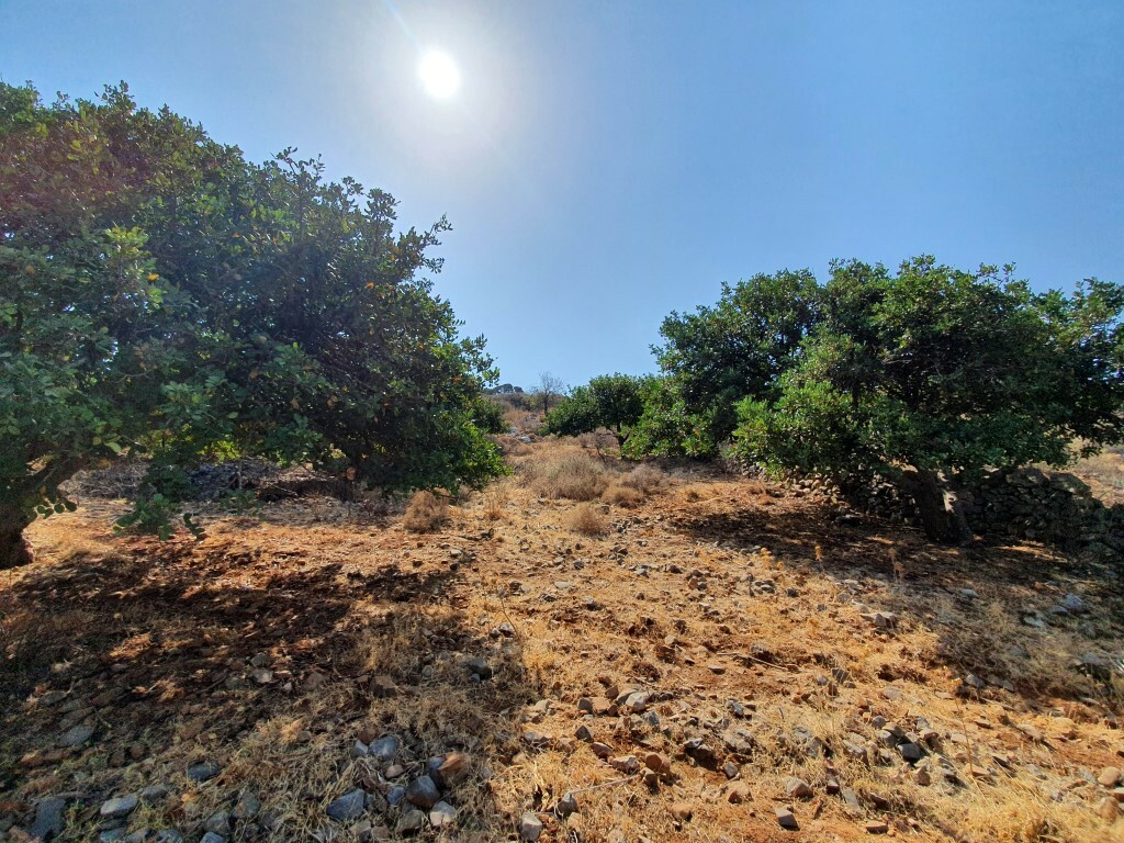 Land In Agios Nikolaos, Greece