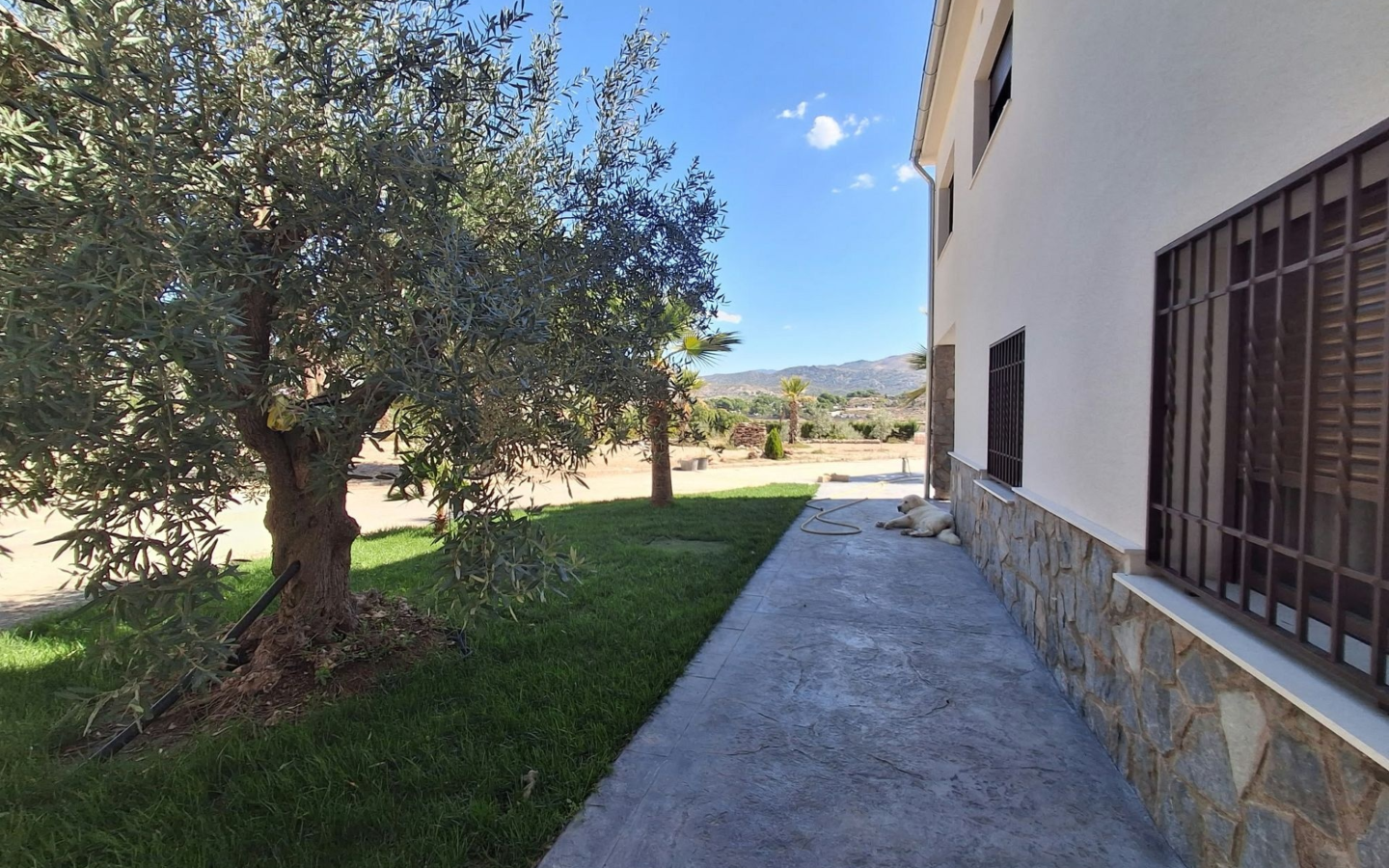 7-bedroom Detached Villa In Sax, Spain (842 M²)