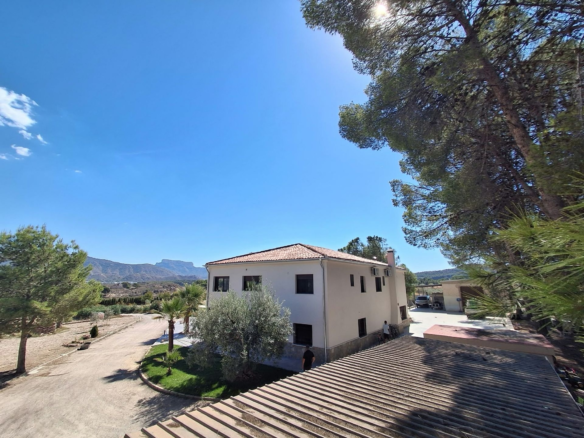7-bedroom Detached Villa In Sax, Spain (842 M²)