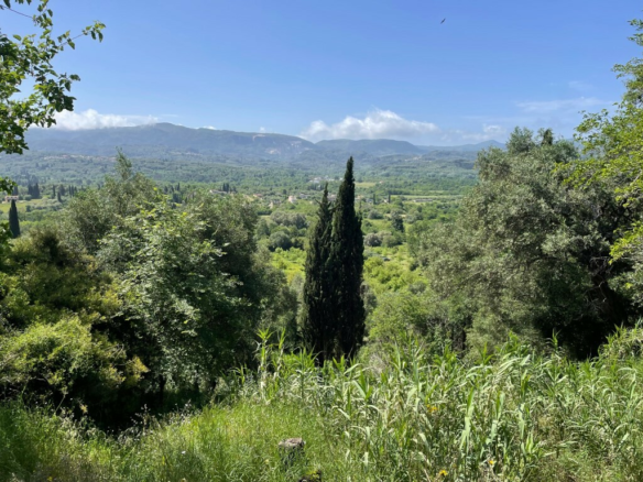 4-bedroom Detached House In Corfu, Greece (101 M²)