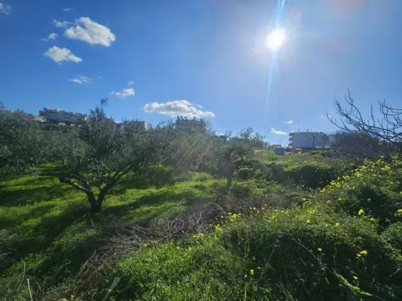 Land In Gazi, Greece