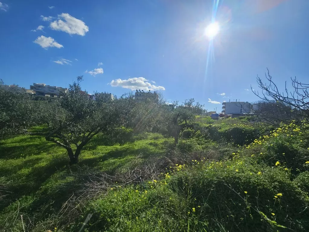 Land In Gazi, Greece