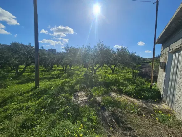 Land In Gazi, Greece