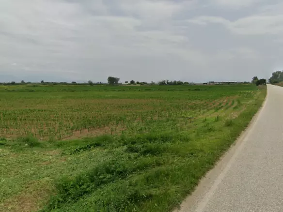 Land In Nigrita, Greece