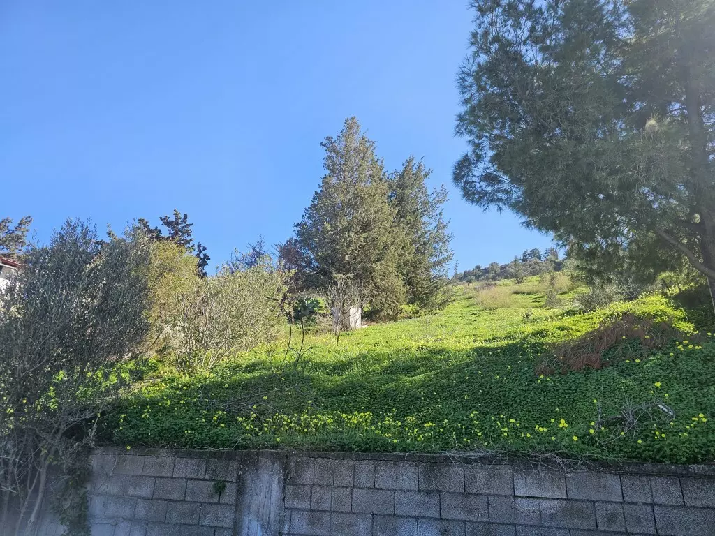 Land In Temenos, Greece