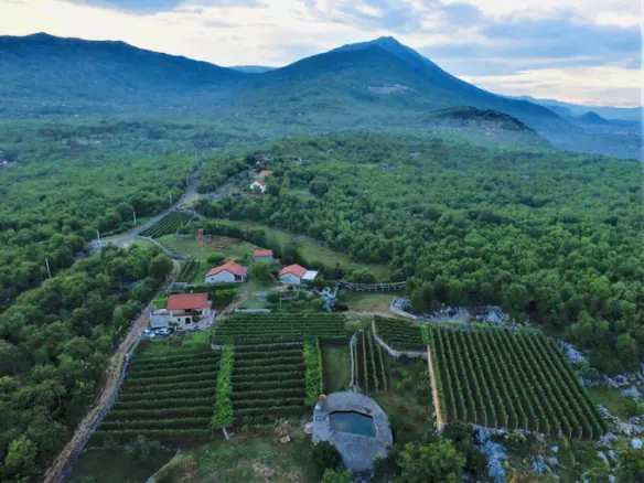 Parcels Of Land