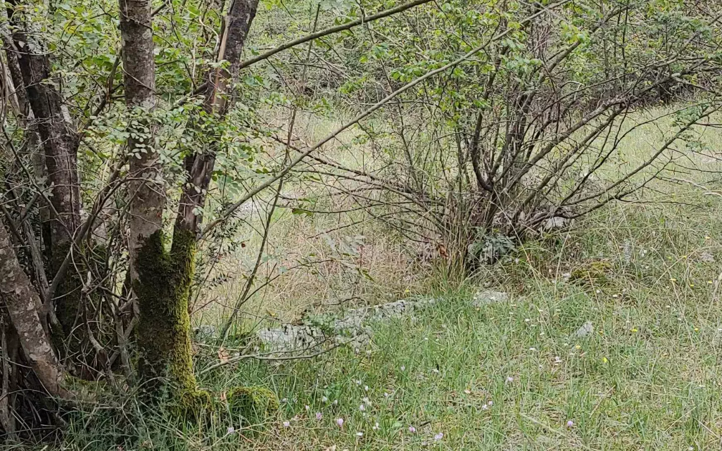 Parcels Of Land