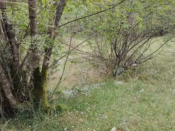 Parcels Of Land