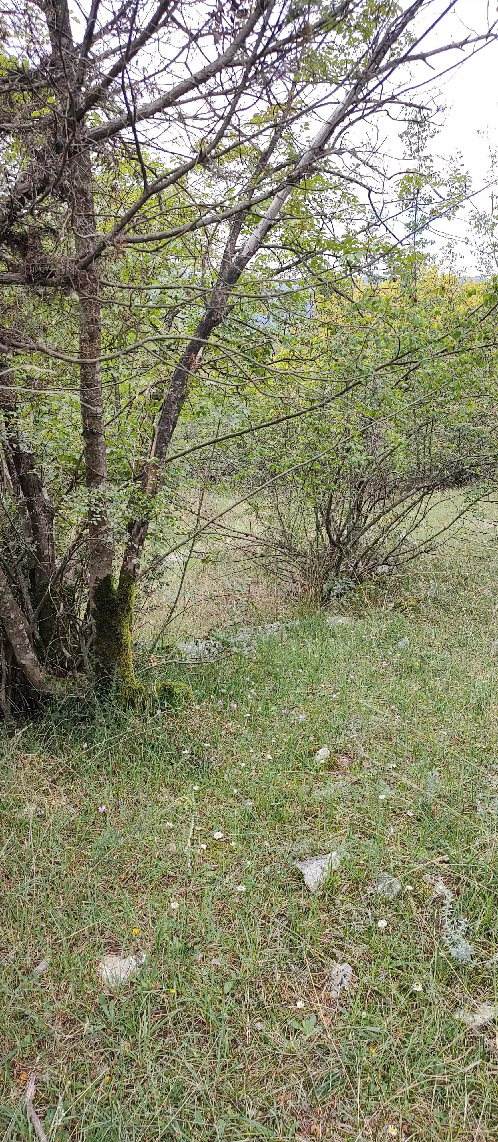 Parcels Of Land