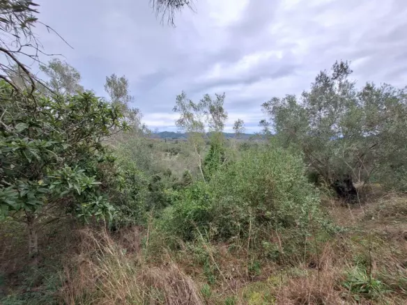 Land In Corfu, Greece