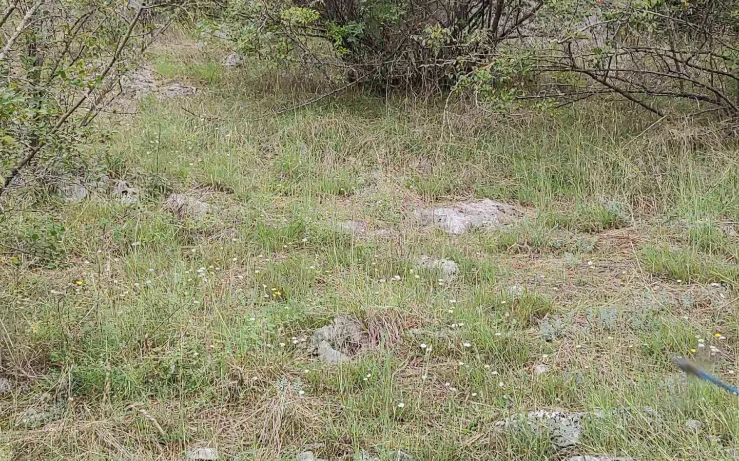 Parcels Of Land