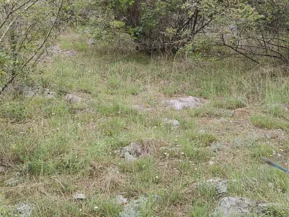 Parcels Of Land