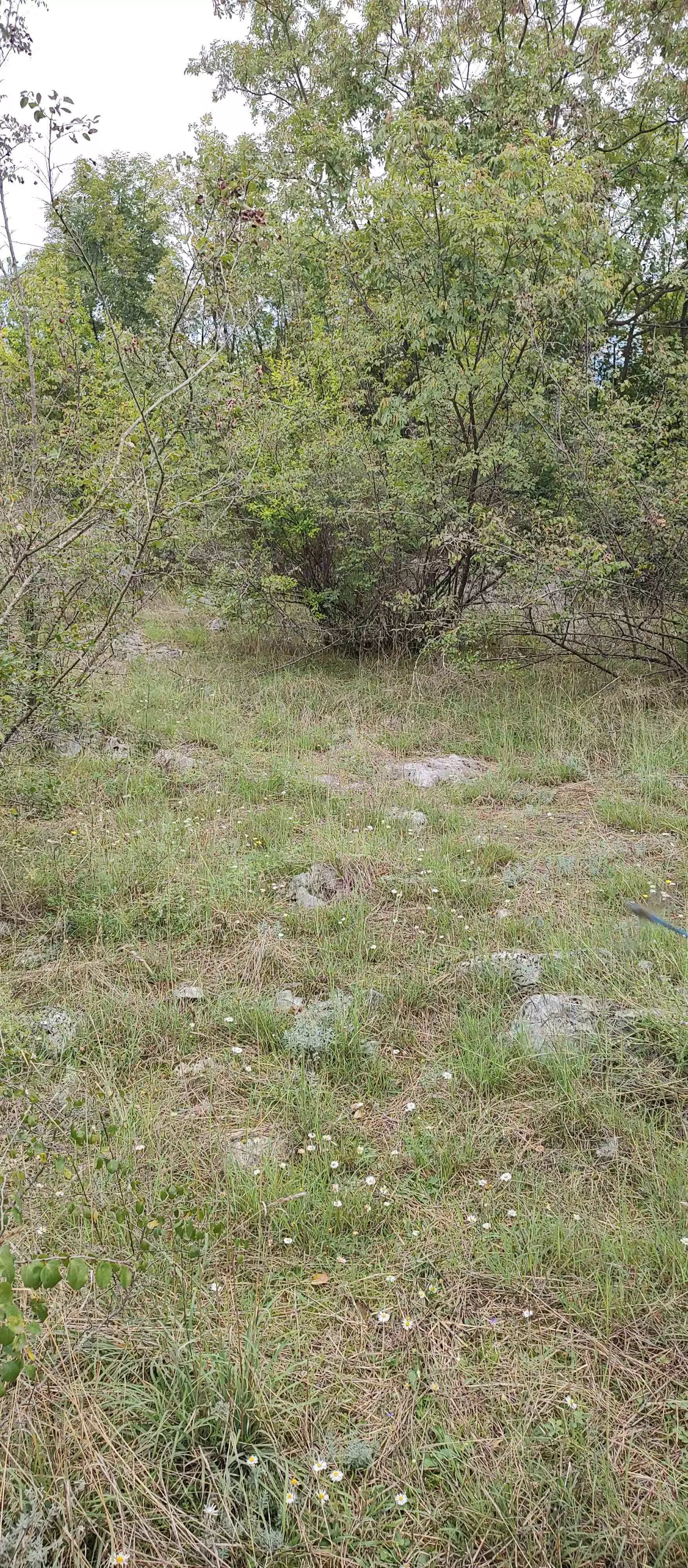 Parcels Of Land