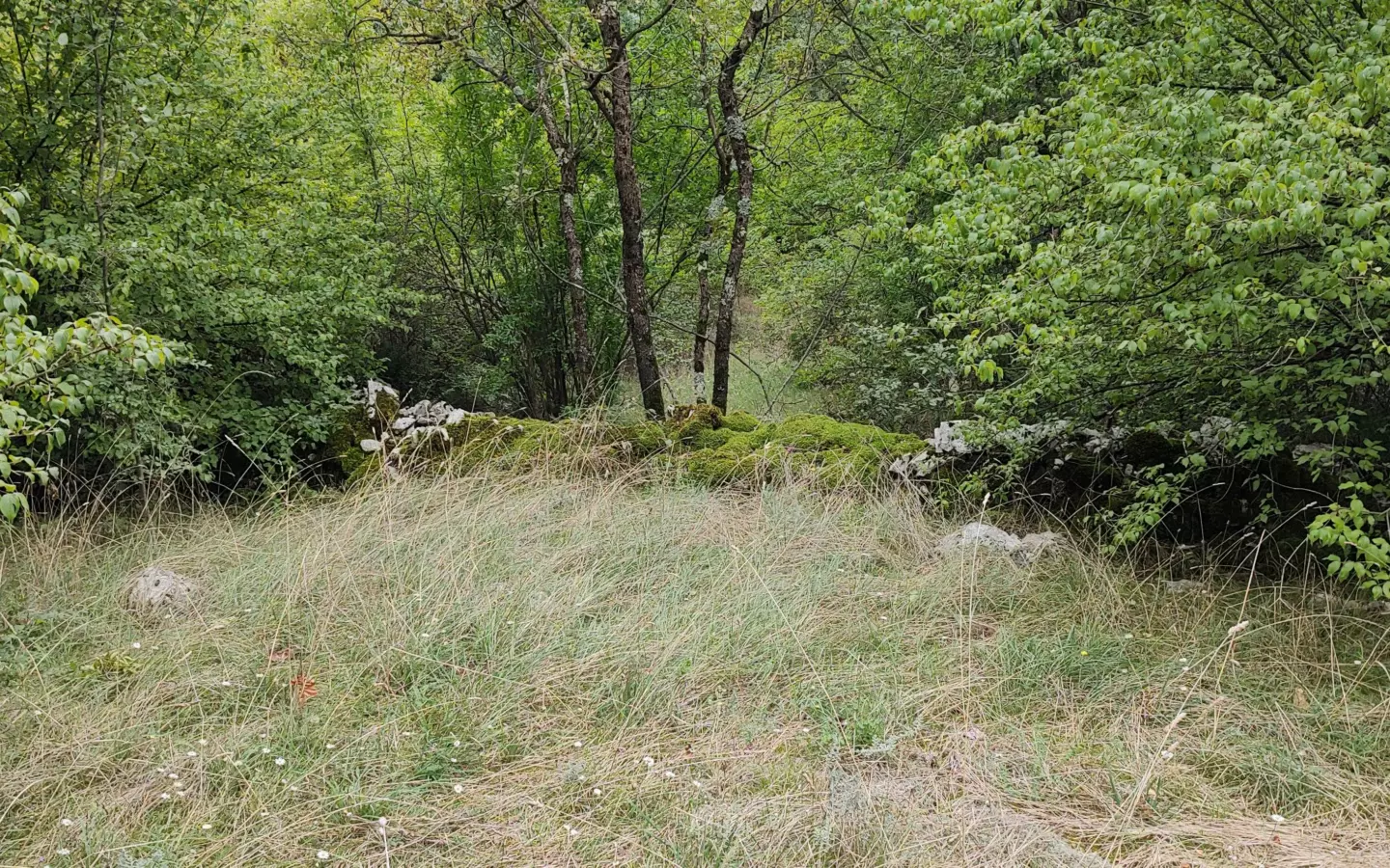 Parcels Of Land