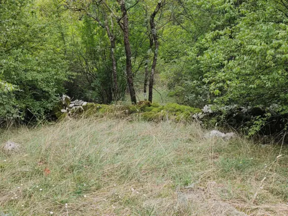 Parcels Of Land