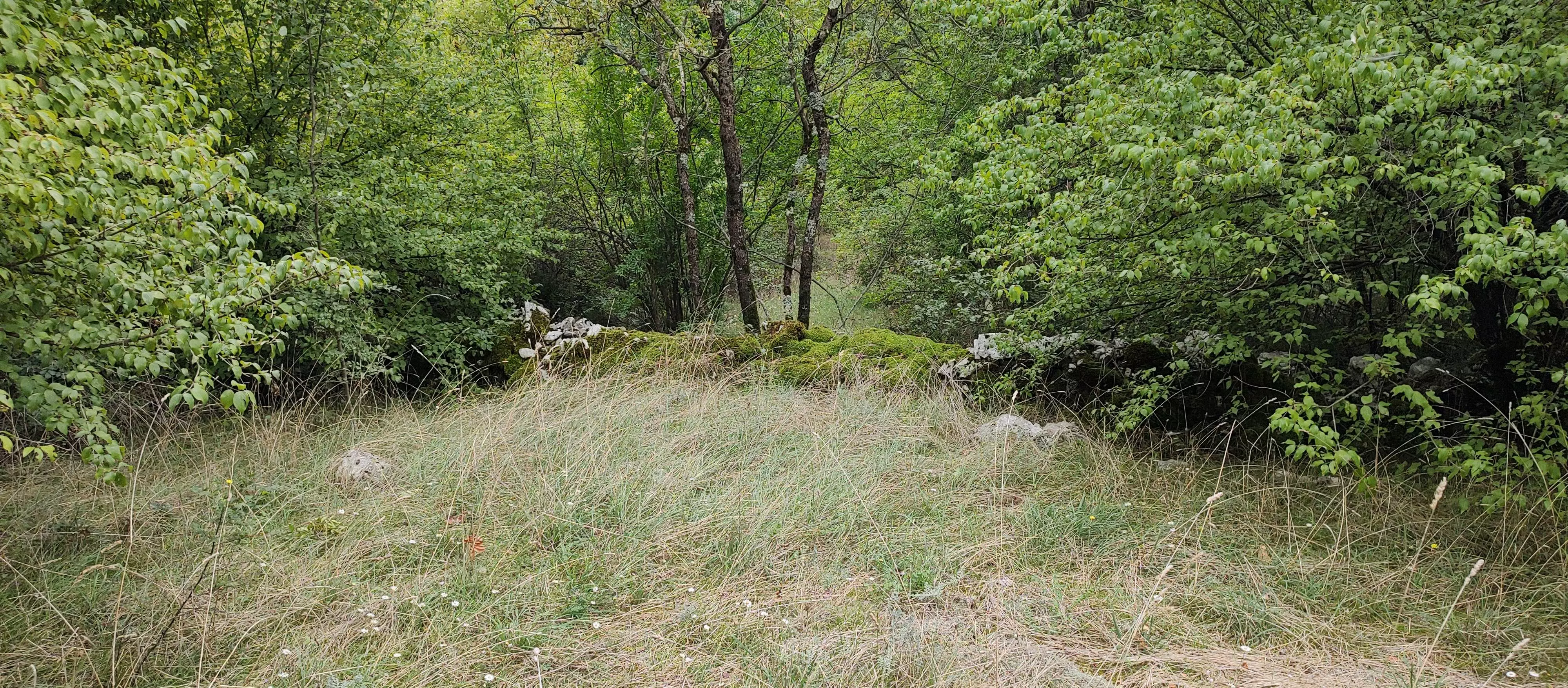 Parcels Of Land