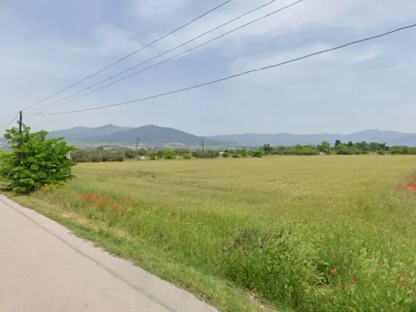 Land In Thermi, Greece