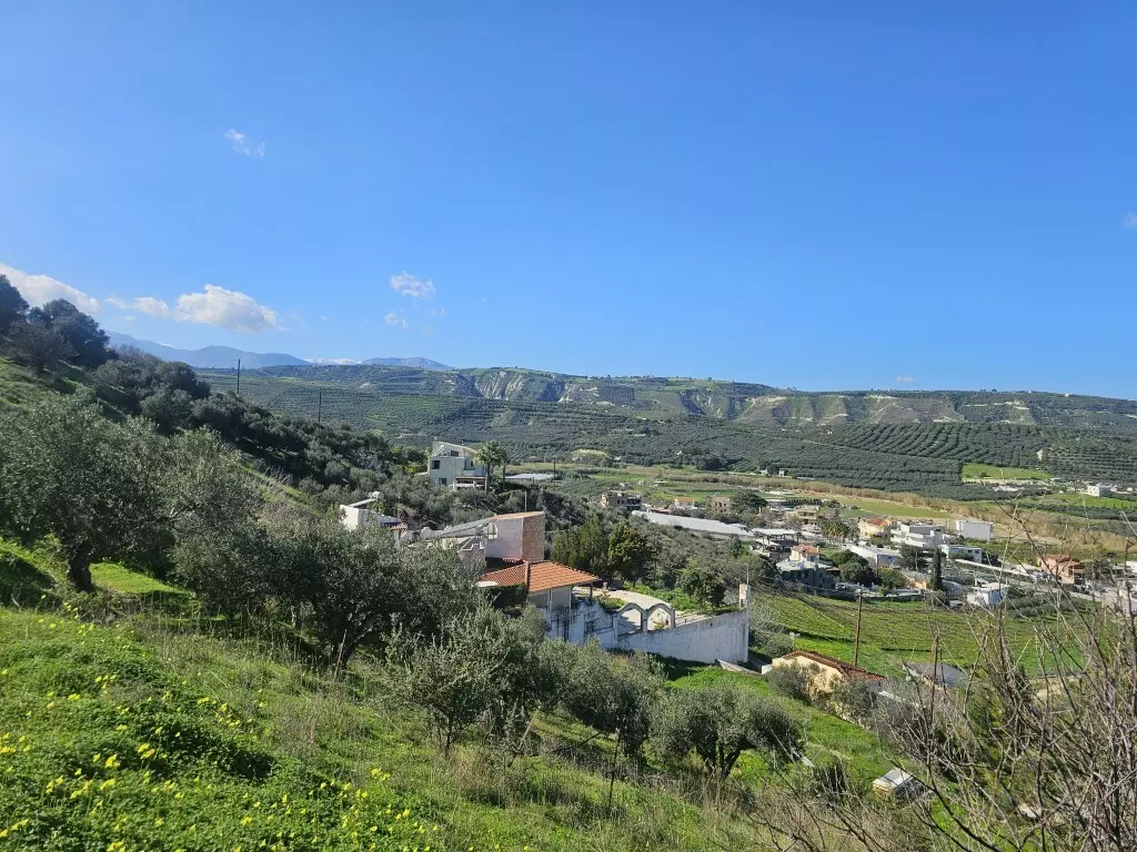 Land In Temenos, Greece