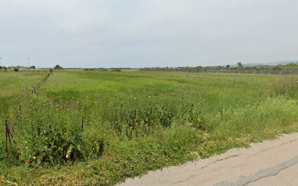 Land In Thermi, Greece