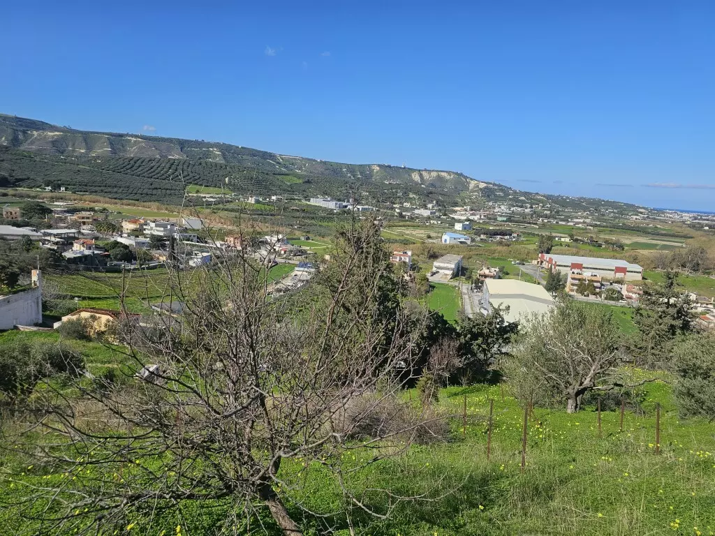 Land In Temenos, Greece