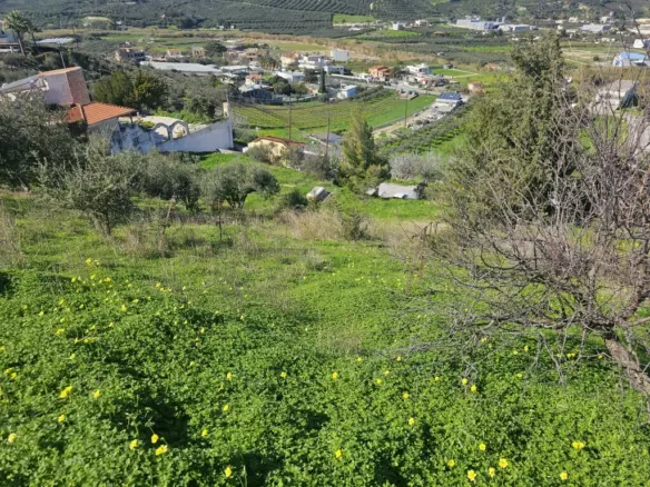 Land In Temenos, Greece
