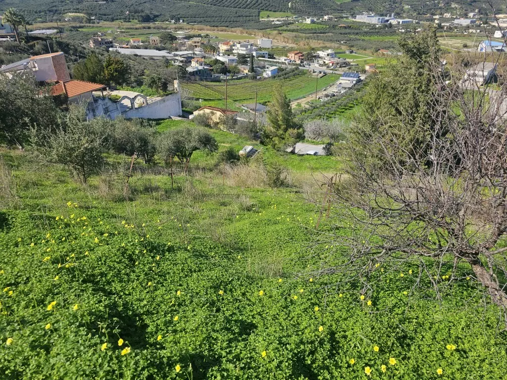 Land In Temenos, Greece