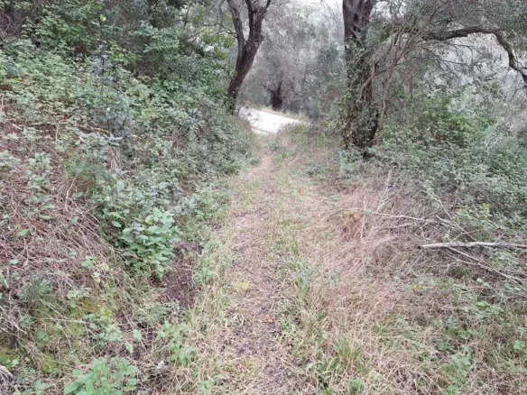 Land In Corfu, Greece