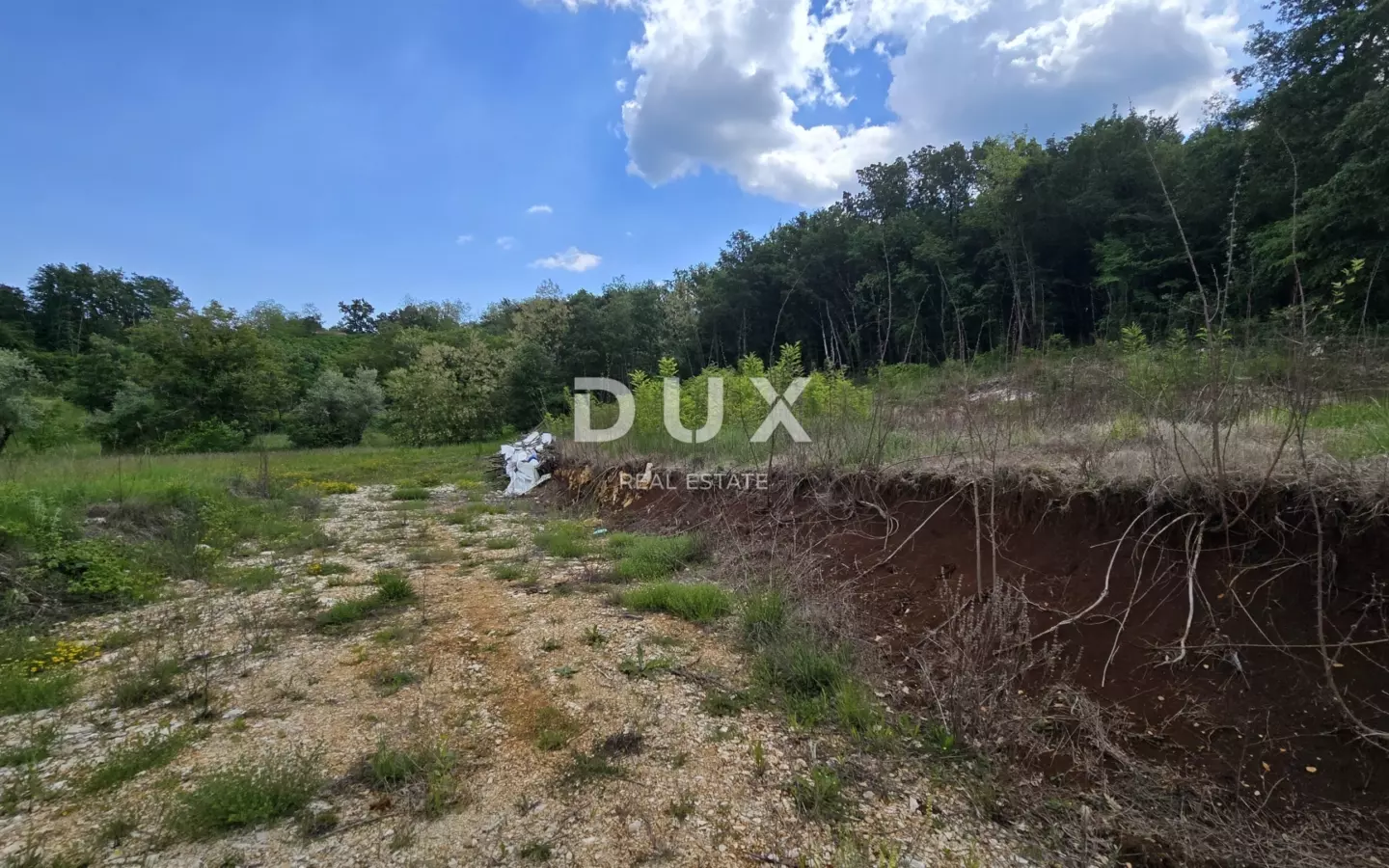 Land In Pićan, Croatia (3.556 M²)