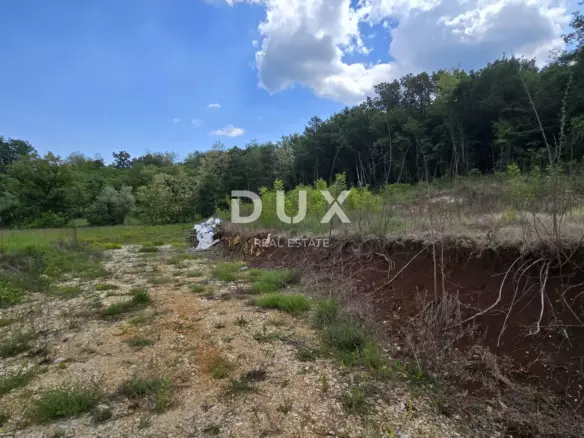 Land In Pićan, Croatia (3.556 M²)