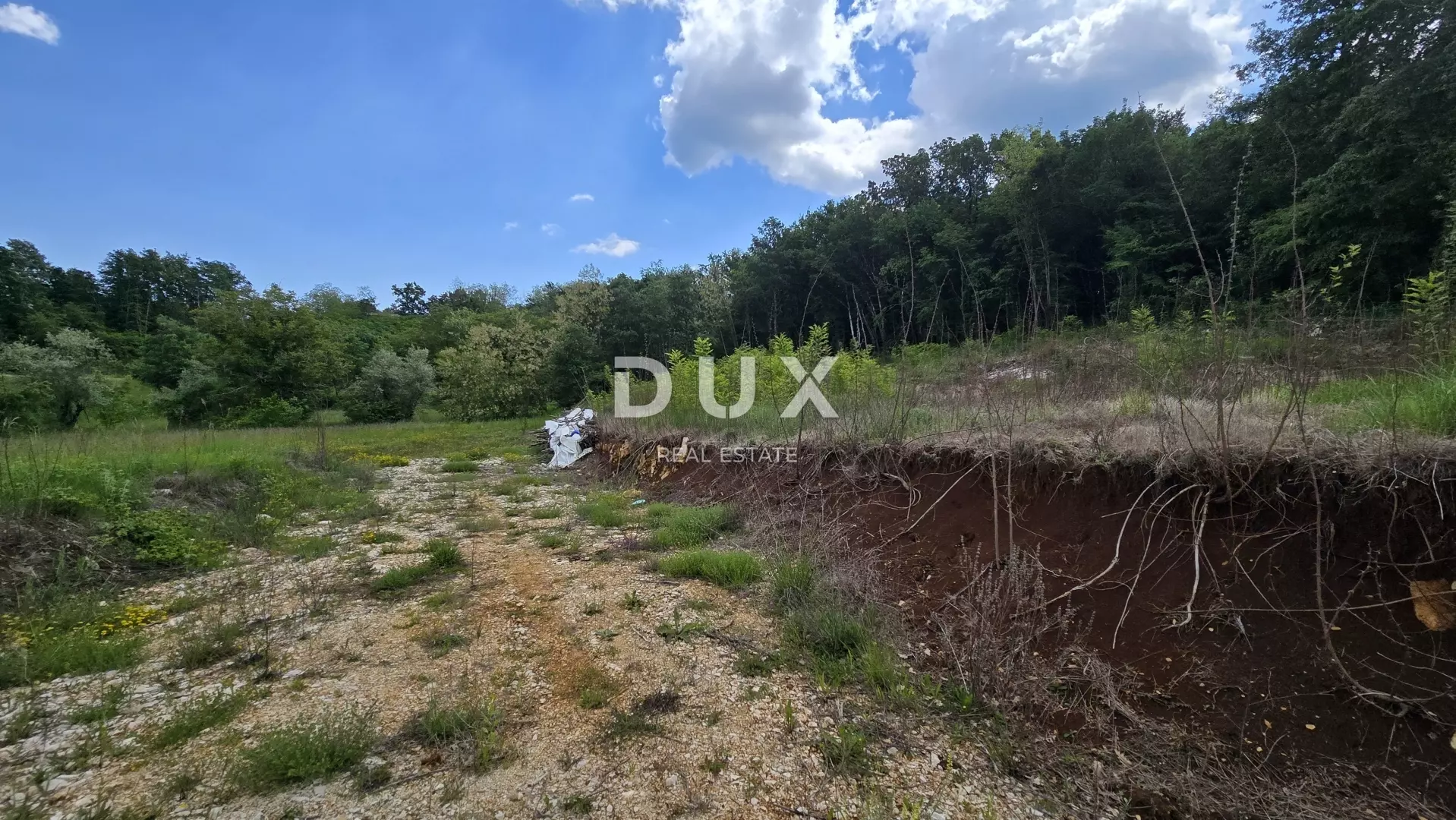 Land In Pićan, Croatia (3.556 M²)