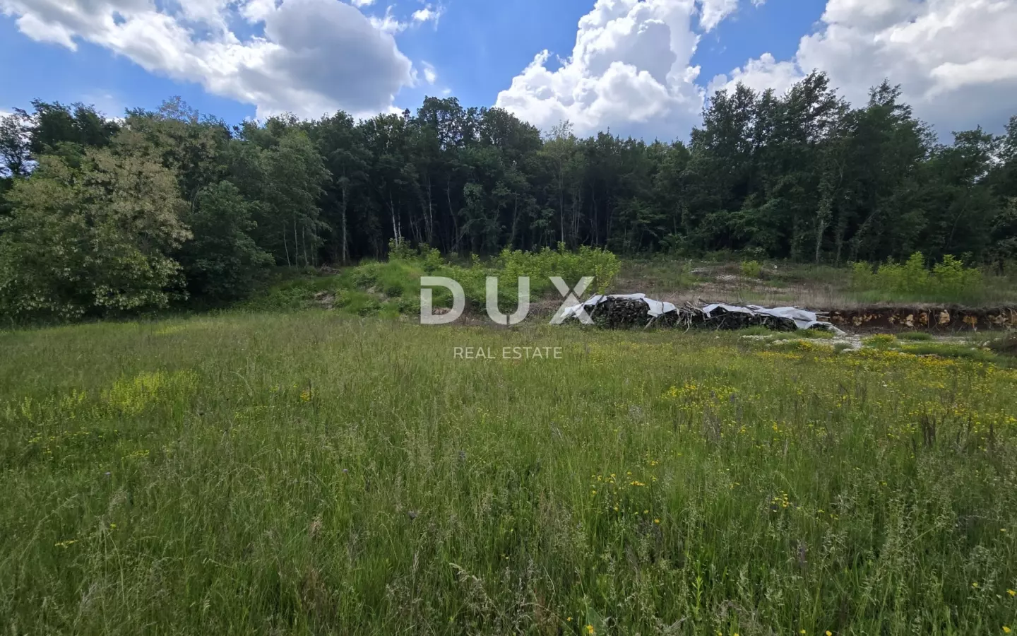 Land In Pićan, Croatia (3.556 M²)