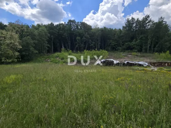 Land In Pićan, Croatia (3.556 M²)