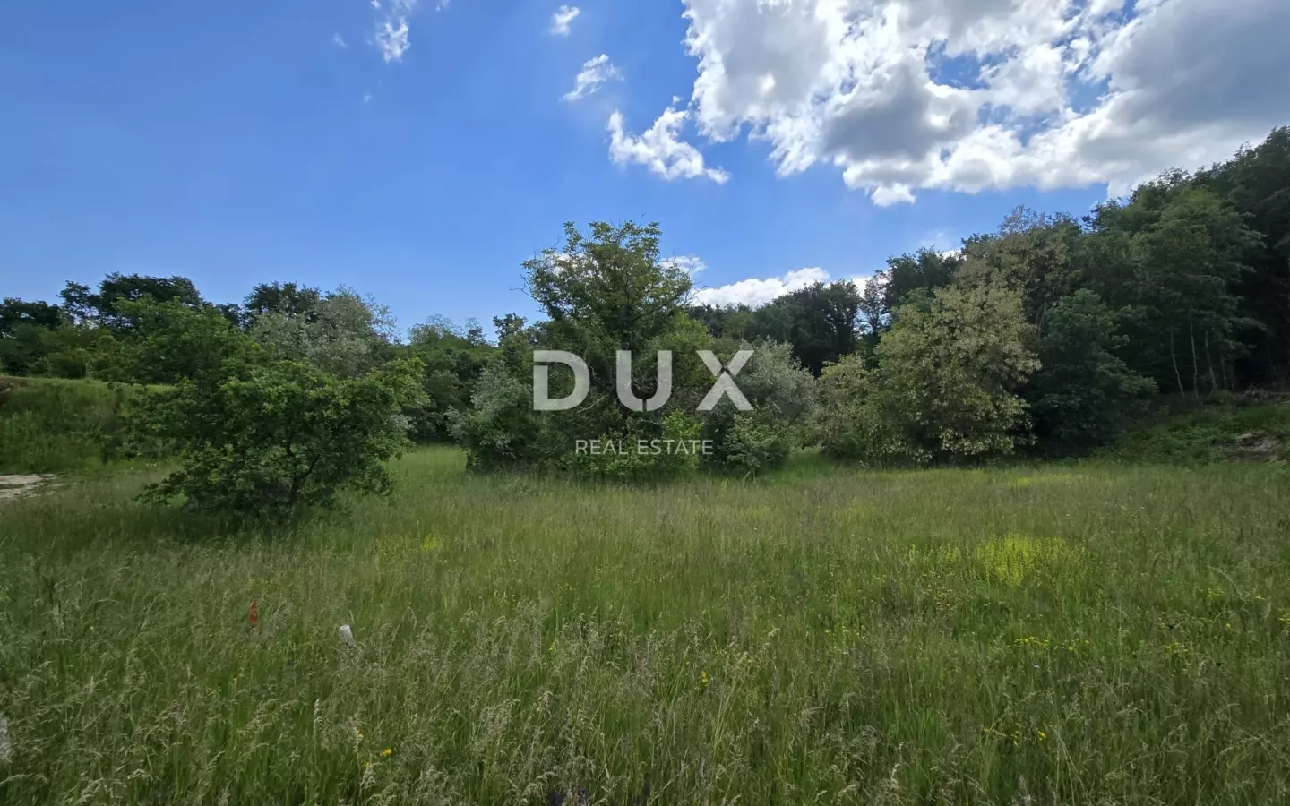 Land In Pićan, Croatia (3.556 M²)