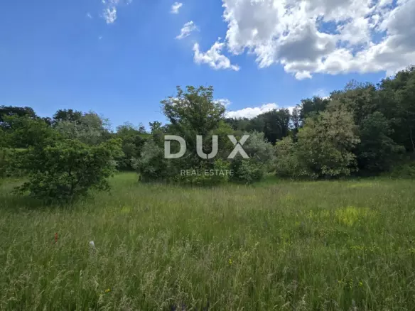 Land In Pićan, Croatia (3.556 M²)