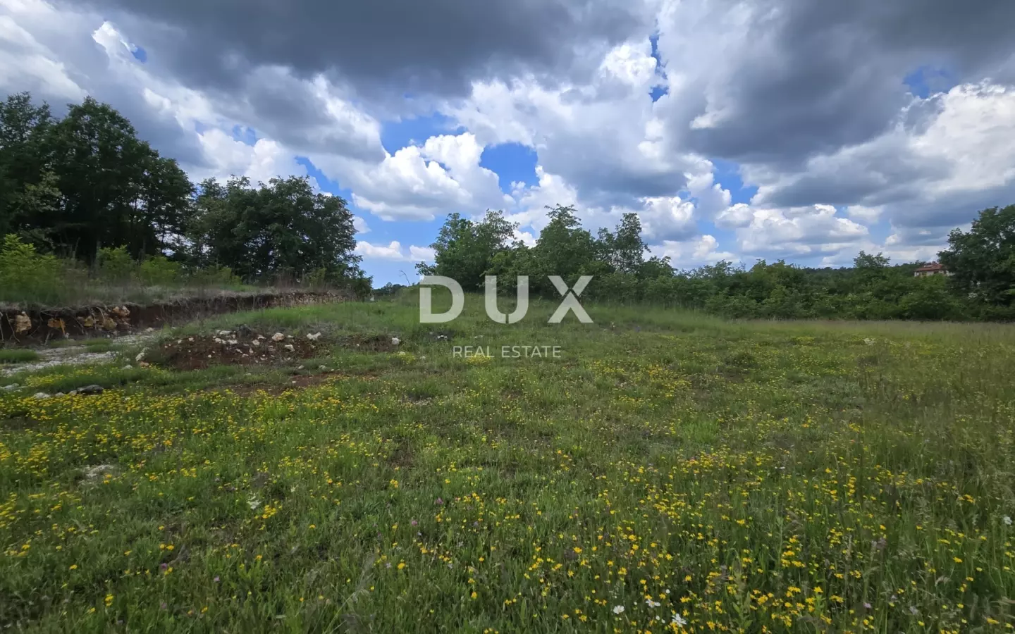 Land In Pićan, Croatia (3.556 M²)