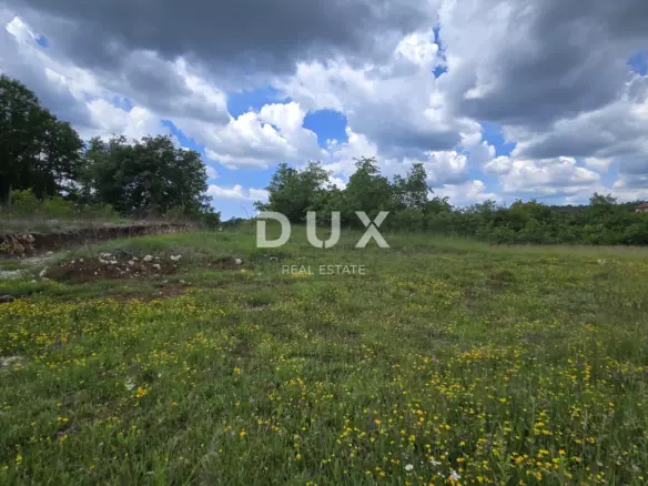 Land In Pićan, Croatia (3.556 M²)