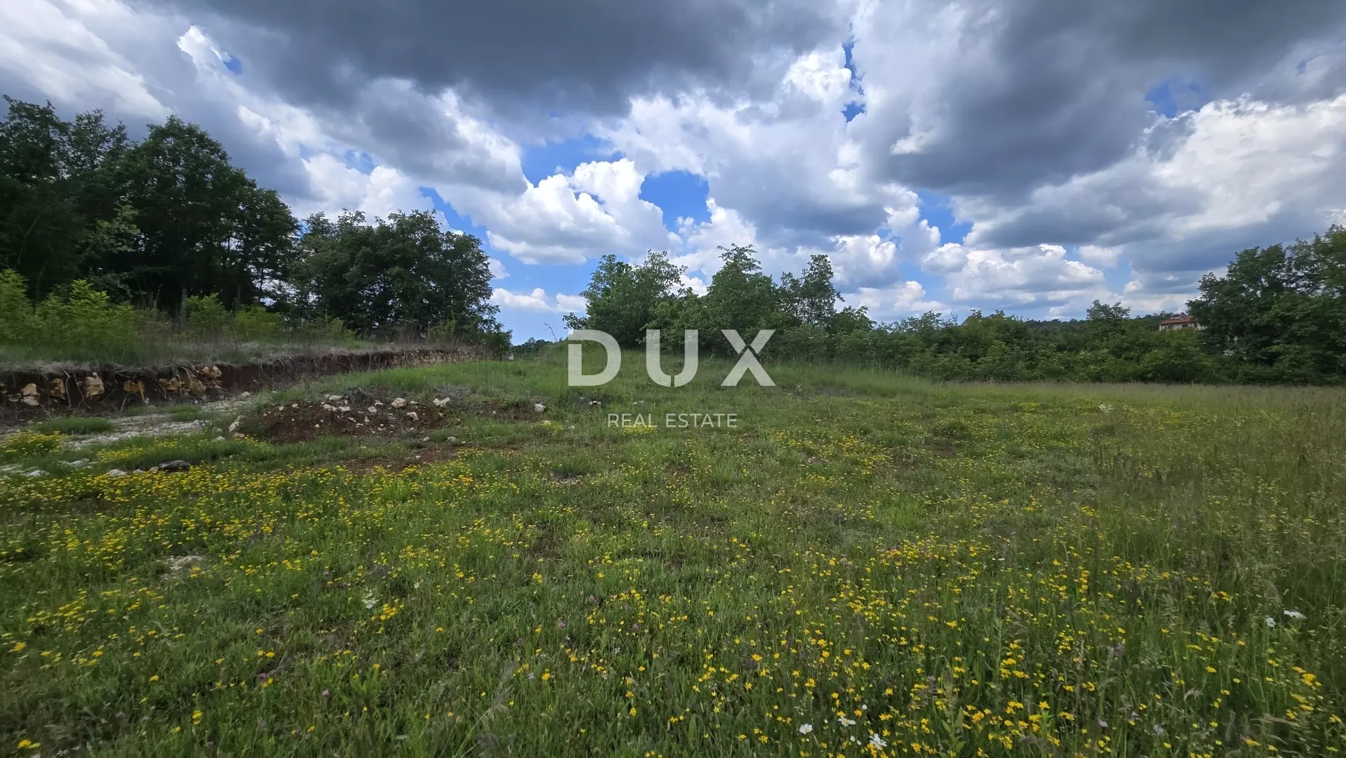 Land In Pićan, Croatia (3.556 M²)