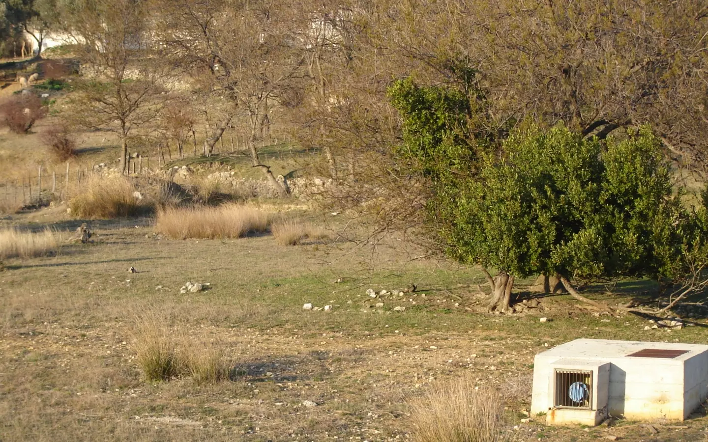 Land In Supetarska Draga, Croatia (6.500 M²)