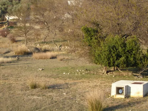 Land In Supetarska Draga, Croatia (6.500 M²)
