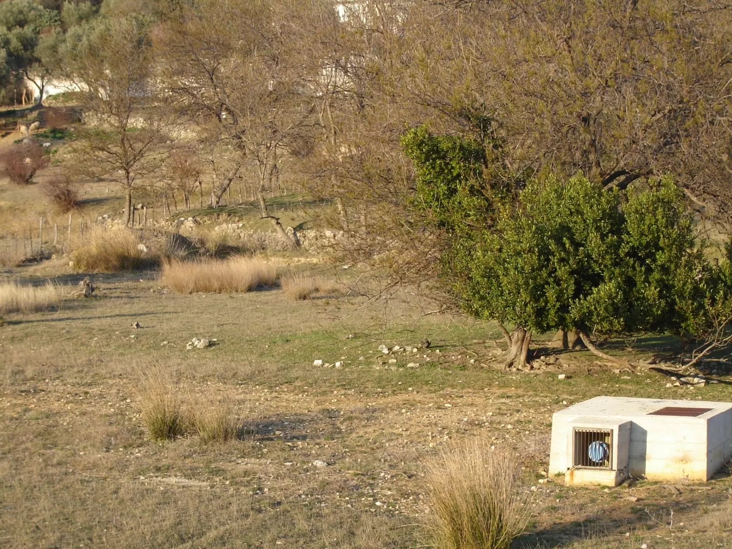 Land In Supetarska Draga, Croatia (6.500 M²)
