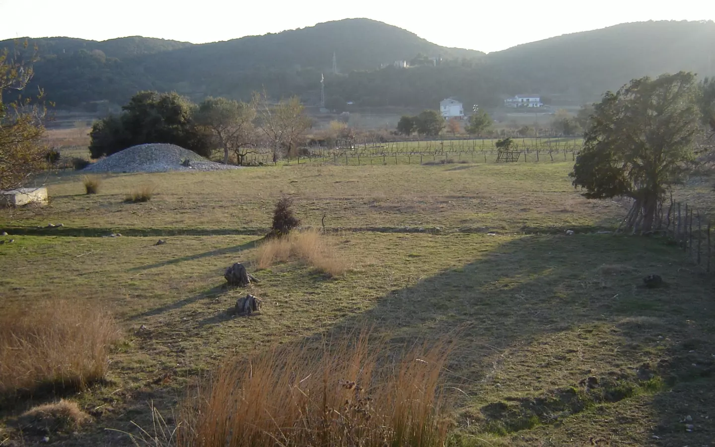 Land In Supetarska Draga, Croatia (6.500 M²)