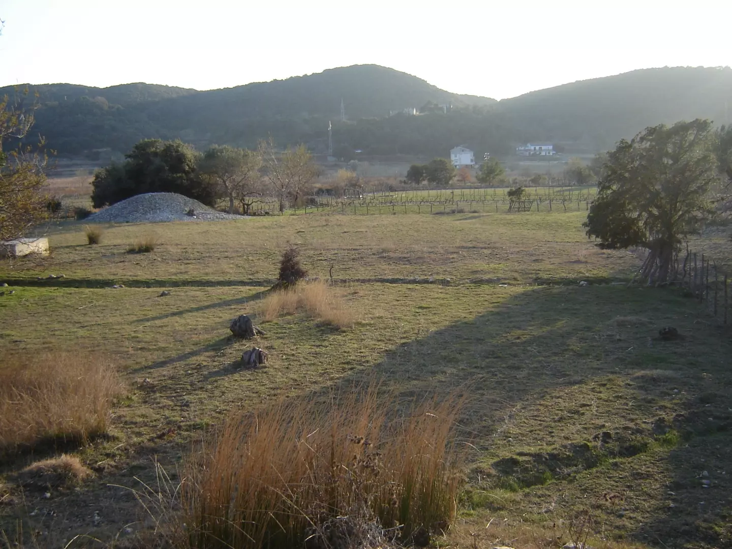 Land In Supetarska Draga, Croatia (6.500 M²)