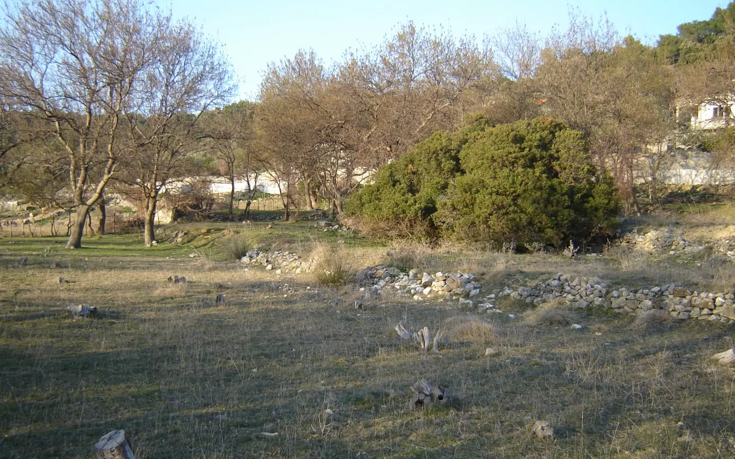 Land In Supetarska Draga, Croatia (6.500 M²)