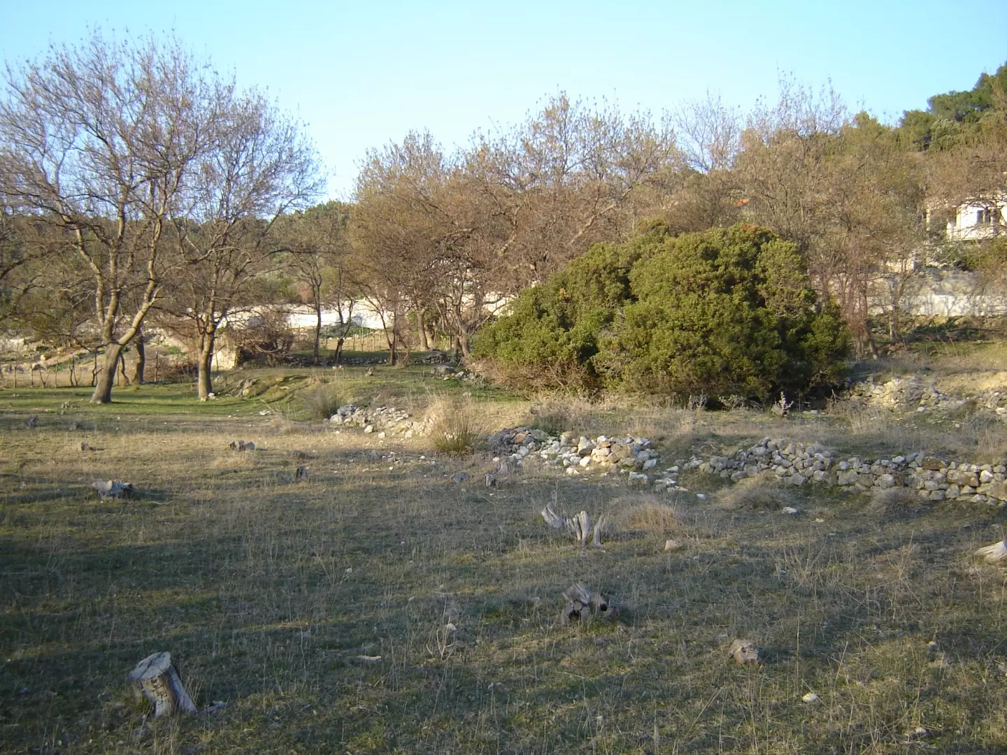 Land In Supetarska Draga, Croatia (6.500 M²)